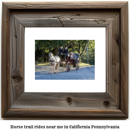 horse trail rides near me in California, Pennsylvania